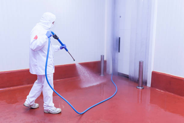 Best Gutter Cleaning and Brightening in Emma, NC