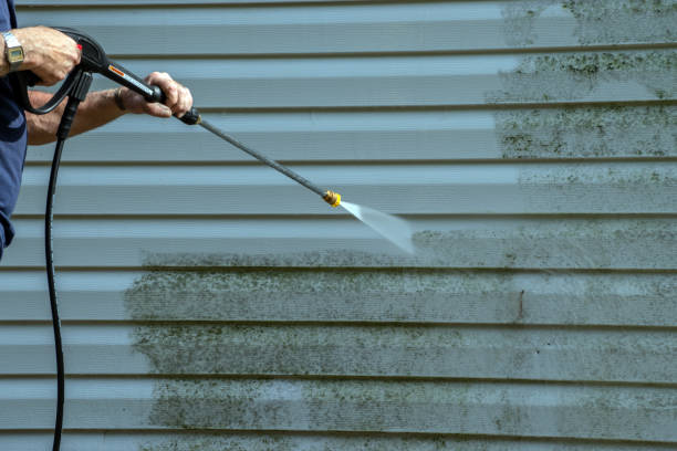 Best Graffiti Removal Services in Emma, NC